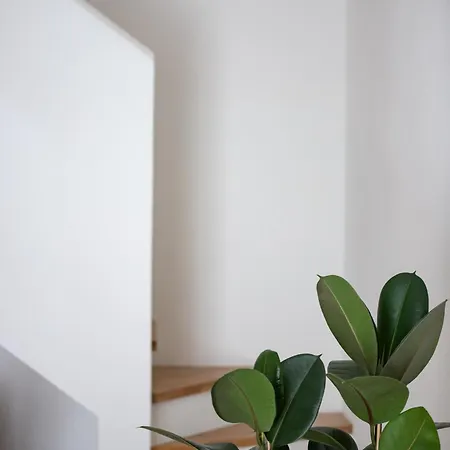 公寓式酒店 Santo Stefano Loft